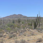 Baja2011 1056 : Baja2011